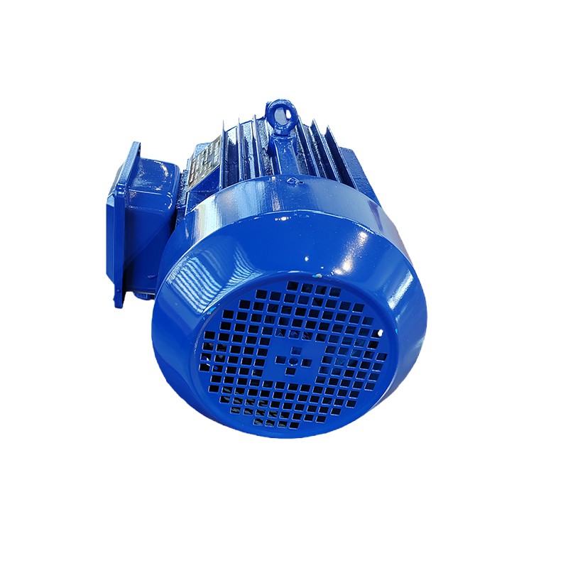 AC Squirrel Cage Induction Motor