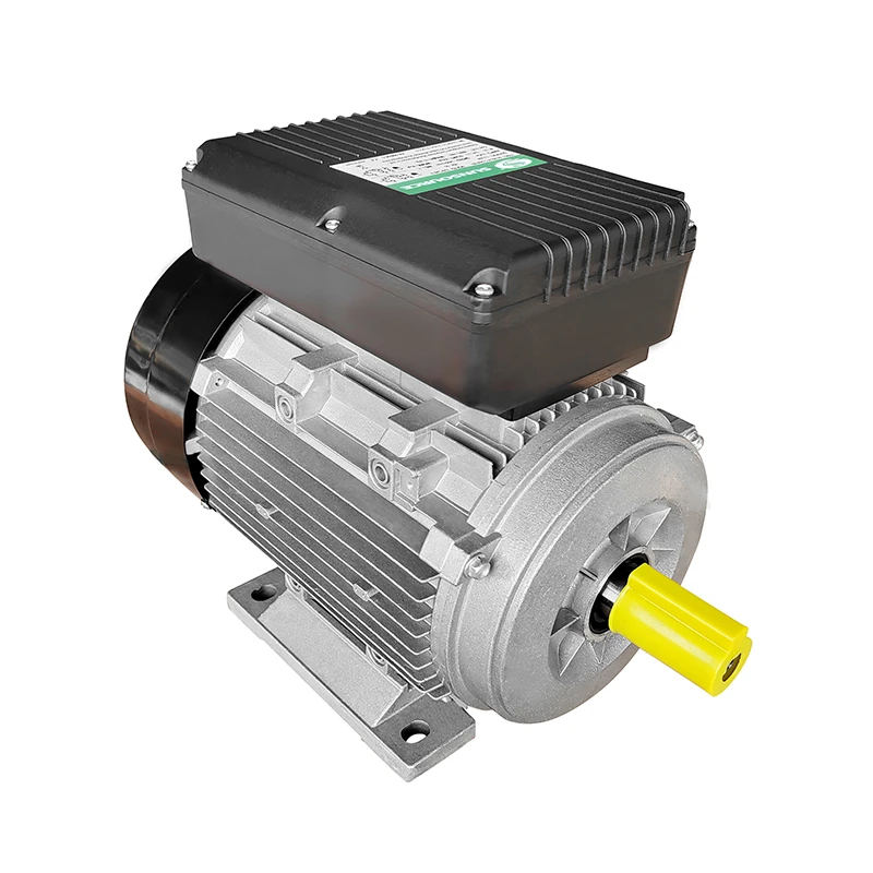Single AC Motor